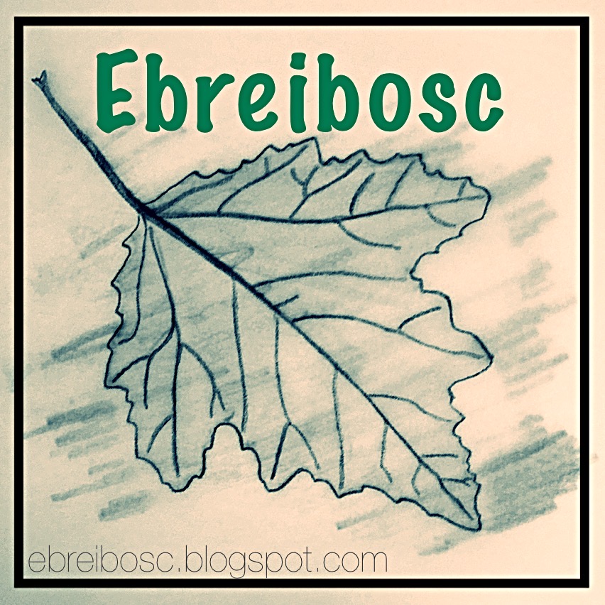 Logo Ebre i Bosc